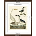 thumbnail image 5 of Art.com Heron Family II Art Print by A^ Wilson, Brown Frame Wall Art, 32" x 40", 5 of 5