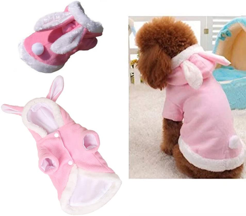 large dog easter costume
