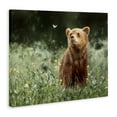 thumbnail image 4 of Stupell Industries Baby Bear & Butterfly Animals Painting Wrapped Canvas Art Print Wall Art, 20 x 16, 4 of 8