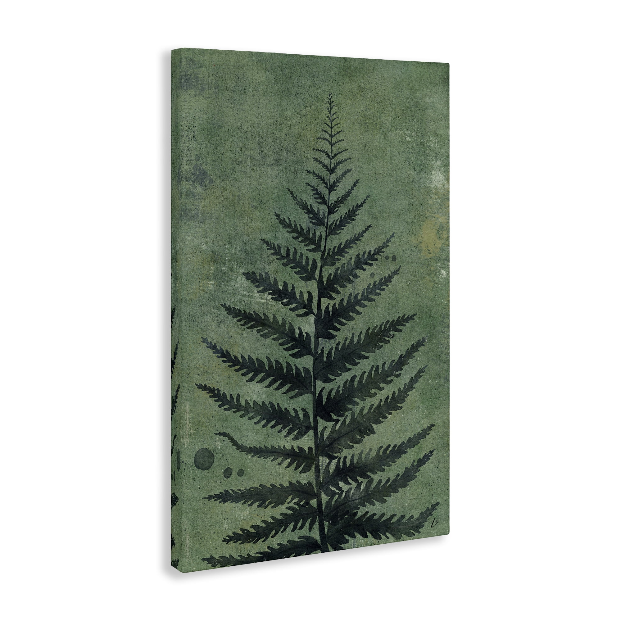 Stupell Industries Rustic Fern Impression Plants & Flowers Painting Wrapped Canvas Art Print Wall Art, 20 x 30