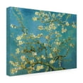 thumbnail image 3 of Trademark Fine Art Vincent van Gogh Almond Branches In Bloom 1890 Canvas Wall Art - 24x32, 3 of 5