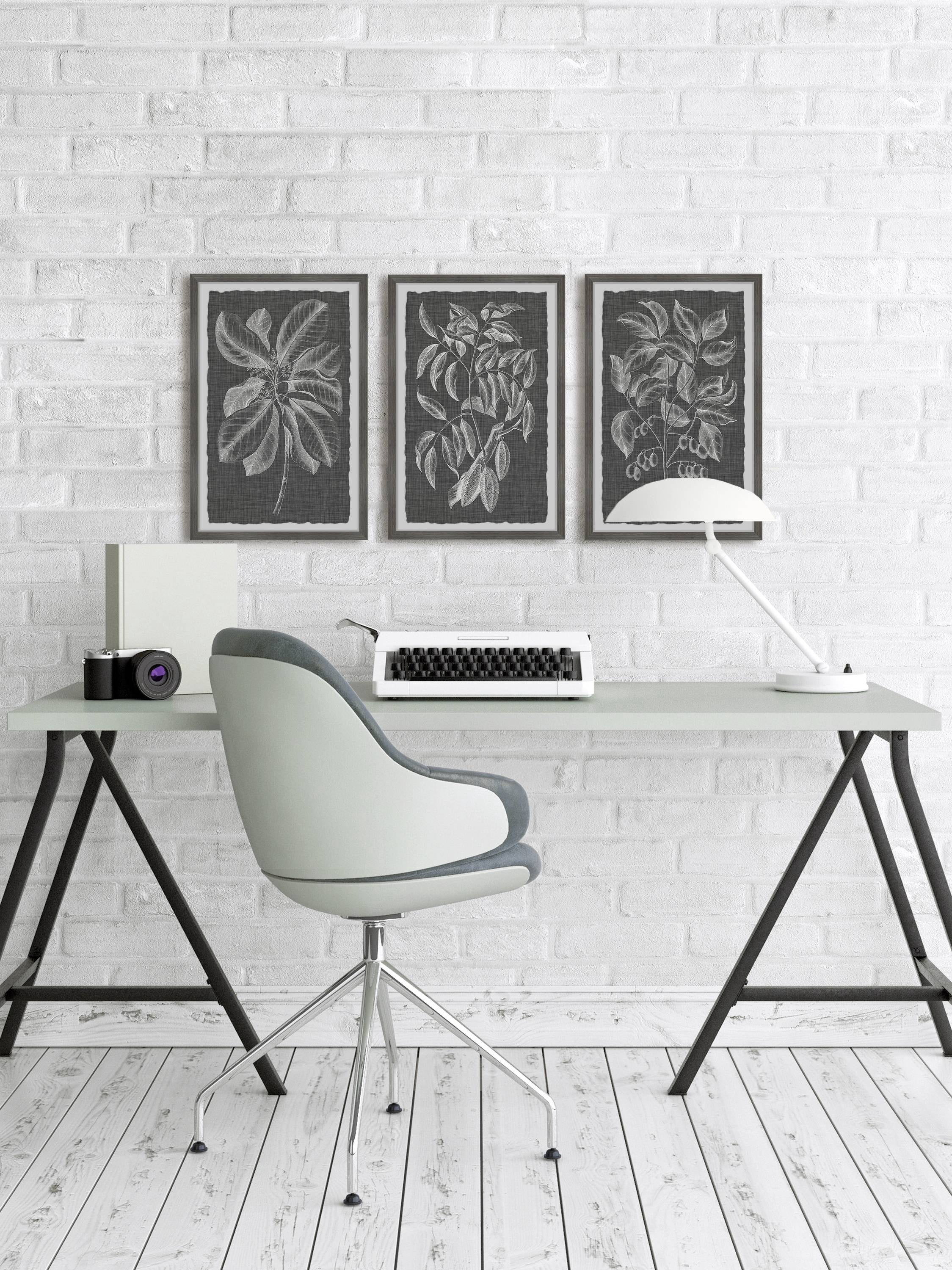 Marmont Hill Graphic Foliage VI Triptych
