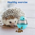 thumbnail image 4 of Ferret Treat Ball Interactive Toy for Small Animal, Dry Food Dispensing Enrichment Toy for Ferrets, Hedgehog, Bunny, Guinea Pig and Rat, Pet Ferret Accessories, XL Wiggle, 4 of 8