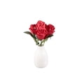 thumbnail image 1 of Arreglo Decorativo Mainstays Rosas Color Rojo con Florero  28.5 cm, 1 of 4