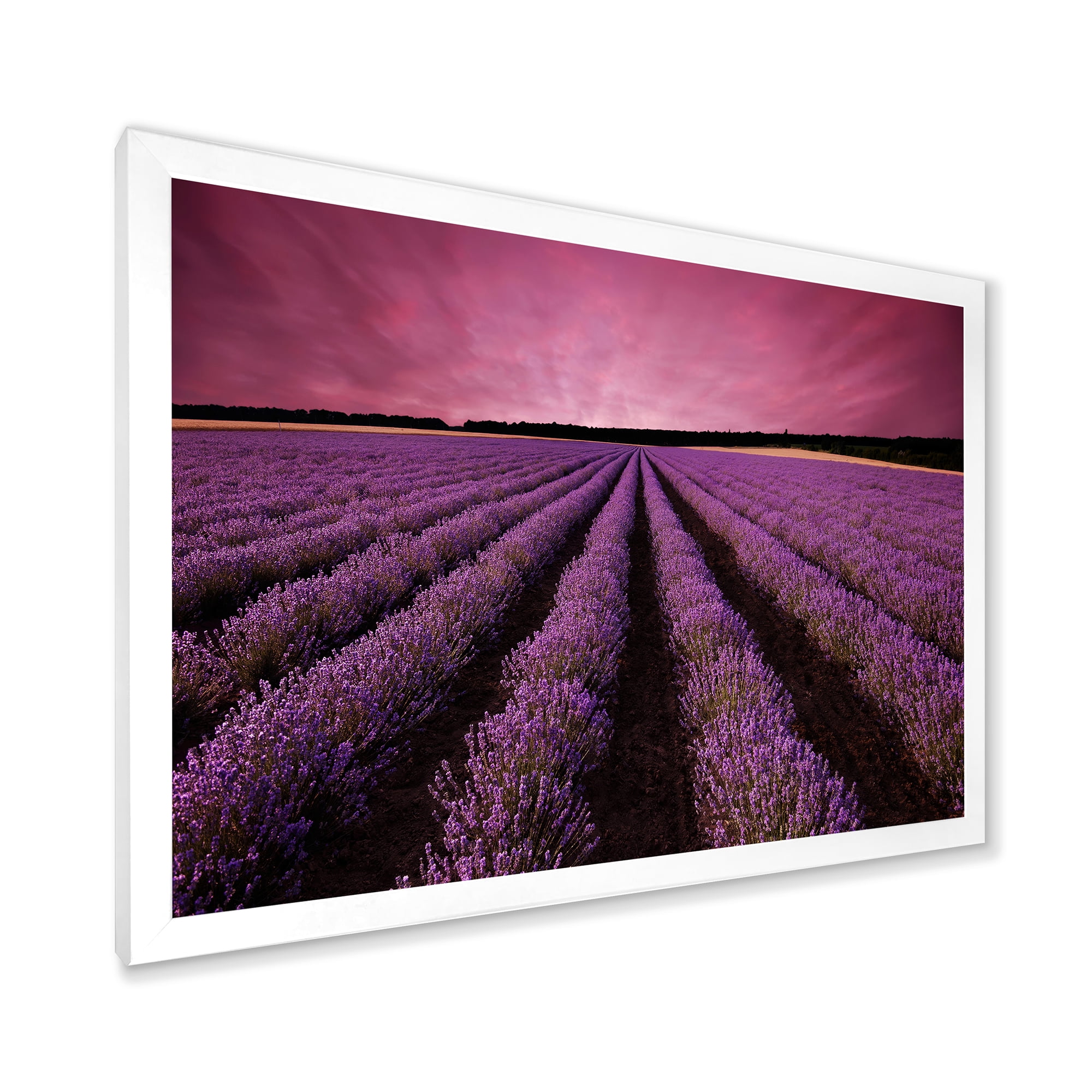 Designart 'Dramatic Clouds and Sunrise Over Lavender Field XI' Farmhouse Framed Art Print
