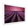 thumbnail image 2 of Designart 'Dramatic Clouds and Sunrise Over Lavender Field XI' Farmhouse Framed Art Print, 2 of 4