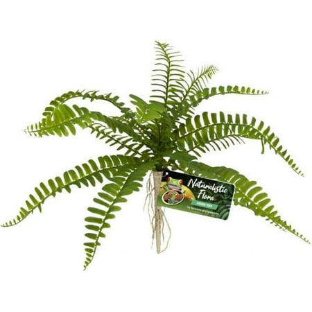 UPC: 0097612180633 | Zoo Med Laboratories BU-63 Naturalistic Flora Sword Fern