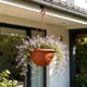 thumbnail image 4 of Hanging Planter Basket Suspended Pot For Green And Flowers Aerial Cultivation Home Decor And Includes Hanging Chain, 4 of 6