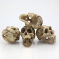 thumbnail image 3 of Simulate Resin Skull Landscape Ornament for Reptile Cave Aquarium Terrarium Decoration Skull skull, 3 of 8