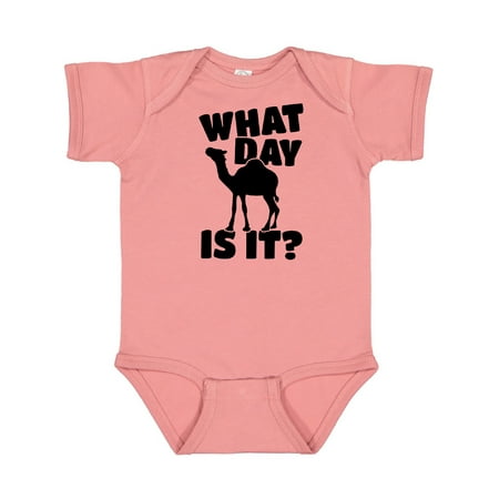 

Inktastic What Day Is It Camel Gift Baby Boy or Baby Girl Bodysuit