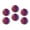 C1084, variant on Glass Refrigerator Magnet 6Pcs Magnetic Fridge Sticker,Decor for Kitchen,Whiteboard,Cabinet,Border Collie Surrounded By Flowers