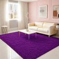 thumbnail image 3 of HOISUN 5x8 ft Soft Shag Area Rug for Bedroom Living Room, Fluffy Plush Non-Slip Carpet, Purple, 3 of 10