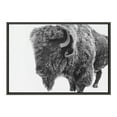 thumbnail image 3 of Kate and Laurel Sylvie Bison in Snow Black and White Framed Canvas Wall Art by Amy Peterson Art Studio, 23x33 Gray, Modern Animal Portrait Art for Wall, 3 of 7