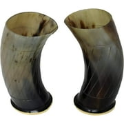 Buddha4all Set of 2 Metal Covered Base Ceremonial 6 Viking Drinking Horn Glass Beer Wine Gift Cup Authentic Medieval Inspired Vessel with Food Safe Coating for Beer Ale Mead Wine (Single Line)