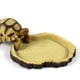 thumbnail image 2 of Tazón Comida Agua Resina Mascota Tortuga Serpiente Gecko Serpiente, 2 of 9