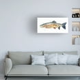 thumbnail image 3 of Emma Caroline 'Watercolor Rainbow Trout II' Canvas Art, 3 of 3