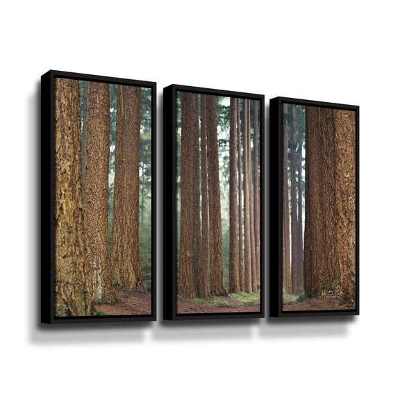 Artwall Bars, 3 Piece Floater Framed Canvas Set by Martin Podt
