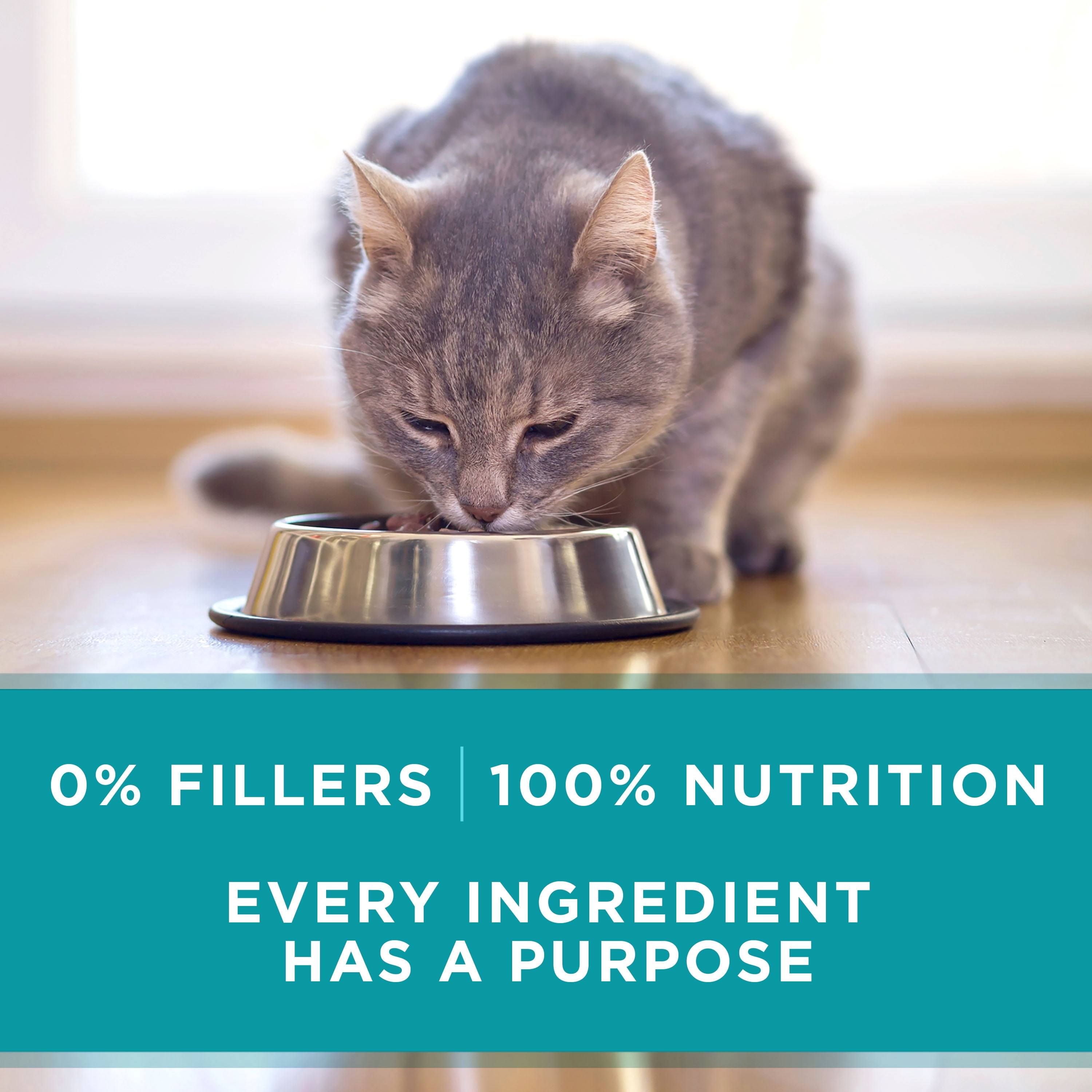 purina one true instinct canned cat food