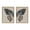 Natural, variant on Kate and Laurel Sylvie Boho Butterfly Watercolor Diptych Neutral Linen Framed Canvas Wall Art Set by The Creative Bunch Studio, 2 Piece Set 23x33 Gold