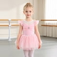 thumbnail image 2 of mgoYE Toddler Girls Full Skirted Leotard Tulle Ballet Dance Tutu Dress(Pink,4-5), 2 of 9