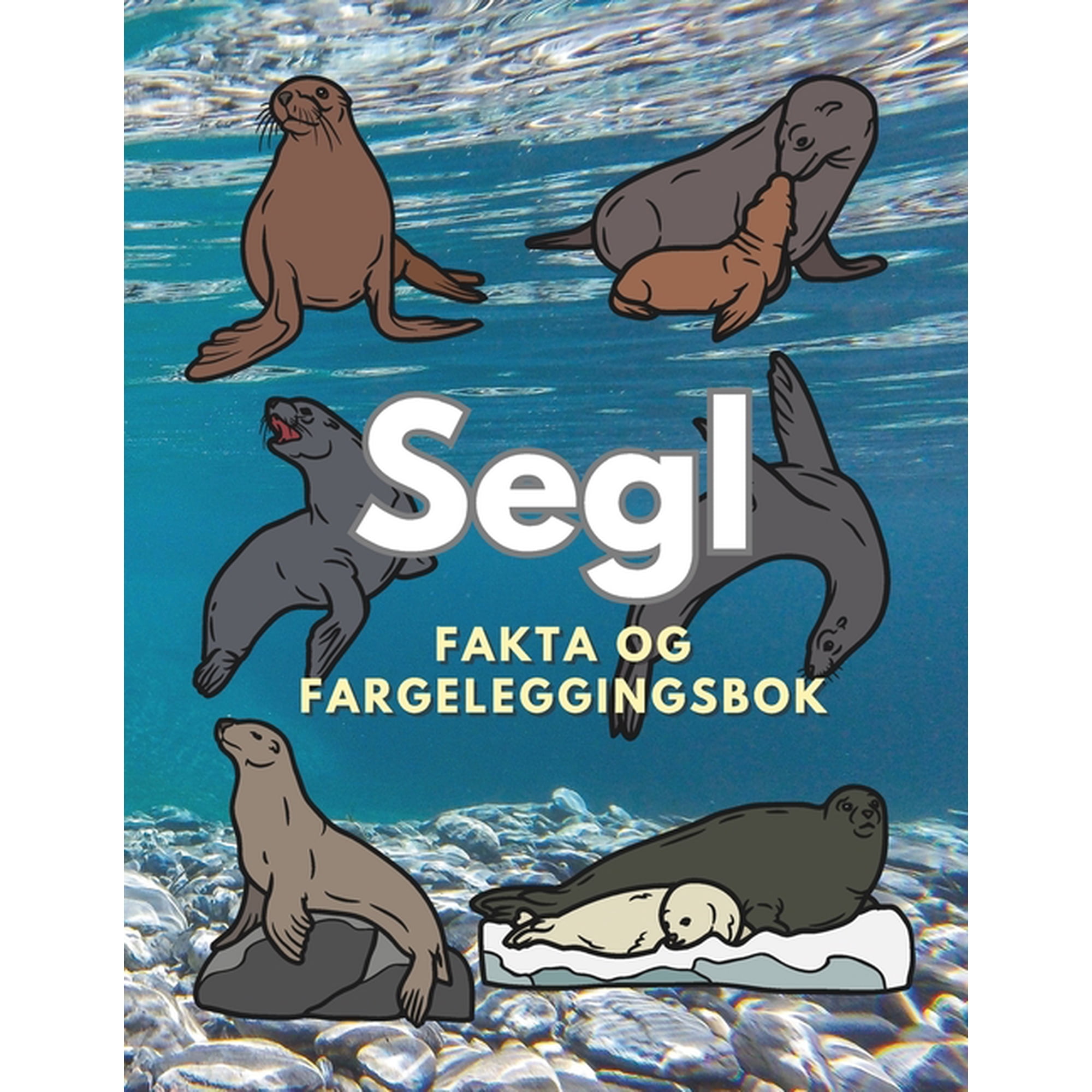 Segl: Fakta og fargeleggingsbok: For barn i alderen 2 til 16 &aring;r (Paperback)