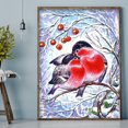 thumbnail image 3 of Wdftyju Kit de pintura de diamante de taladro redondo completo 5D DIY Snowy Bird (W0783) Wdftyju 6ay0pa2md4lp0at2D02, 3 of 9