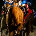thumbnail image 2 of Horse Racing Ties Animal Mens Jockey Necktie by Three Rooker, 2 of 3