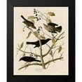 thumbnail image 2 of Vintage Apple Collection 15x18 Black Modern Framed Museum Art Print Titled - Rusty Grakle, 2 of 5