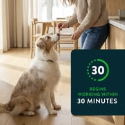 (2 pack) CAPSTAR (Nitenpyram) Fast-Acting Oral Flea Treatment for Large Dogs (over 25 lbs), 6 Tablets, 57 mg