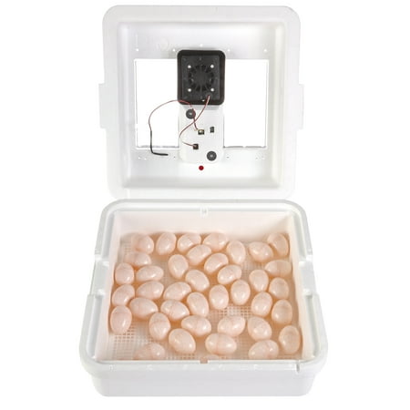 Little Giant White Digital Still Air Incubator