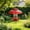 Red, variant on Transparent Weatherproof Guard for Bird Feeders – Hanging Dome Cover with Squirrel Barrier & Honeybee Shield, Slippery Surface, Easy-Clean Snap Lock for Tube & Tray Feeders