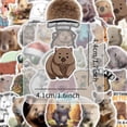 thumbnail image 2 of Stickers Wombat para niños, 50 unidades, calcomanías de vinilo impermeables, 2 of 2