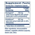thumbnail image 3 of Life Extension Arterial Protect - Blood Pressure Supplement for Heart Health - with gotu kola and Pycnogenol dried French maritime pine bark extracts - Gluten-Free, Non-GMO, Vegetarian - 30 capsules, 3 of 10