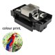 thumbnail image 1 of Cabezal de impresión Cabezal de repuesto para impresora Cabezal de impresión a prueba de herrumbre para Epson R1390 R270 FLhrweasw Nuevo, 1 of 9
