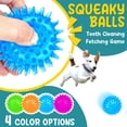thumbnail image 3 of Juguetes para Cachorros PatsFran para la Dentición, Paquete de 6 Juguetes Interactivos para Perros, 3 of 7
