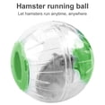 thumbnail image 2 of kurtrusly Balle d'Exercice Jouets Animaux Jouets Roulants Plastique Perforé Jogging Course Accessoires, Vert, 2 of 7