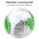 thumbnail image 5 of Methold Pelota de ejercicio, juguetes de animales, juguetes rodantes, accesorios para correr perforados de plástico Juguetes de animales pequeños verde, 5 of 6