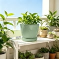 thumbnail image 4 of JJV Pot de Fleurs Rond en Plastique avec Plateau de Drainage Épaissi Résistant aux Intempéries pour Succulentes Plantes d'Intérieur Extérieur Design Moderne Minimaliste 4 Pouces, 4 of 6