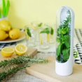 thumbnail image 4 of Conservador de Hierbas Frescas HERB SAVER 2 Pack Recipiente de Almacenamiento, 4 of 5