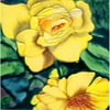 En Vogue B-260 Yellow Roses - Decorative Ceramic Art Tile - 8 in. x 8 in.