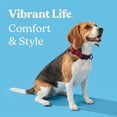 thumbnail image 4 of Vibrant Life Solid Polyester Adjustable Dog Collar, Red, M, 4 of 12