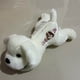 thumbnail image 4 of Juguetes de piscina, juguetes para bebés, juguetes para niños pequeños LED luminosos lindos Papá Perro Muñeco de perro grande Juguete luminoso Muñeca de cabeza grande, 4 of 4