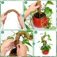 thumbnail image 3 of Hongchun Moss Pole Hemp Rope Non-deformed Sturdy Easy to Install Absorption DIY Bendable Plant Support Steels Indoor Outdoor 4pcs 60cm, 3 of 5