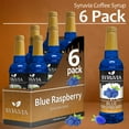 thumbnail image 6 of Syruvia Blue Raspberry Syrup 1 Case (6 Bottles, 25.4 fl oz Each) Blue Raspberry Flavoring Syrup, 6 of 7