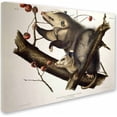 thumbnail image 2 of Trademark Fine Art "Virginian Opossum" Canvas Art by John James Audubon, 2 of 2
