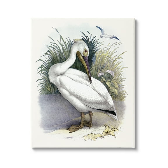 Stupell Industries White Pelican Bird Preening Grassy Riverbank Shore Painting Gallery Wrapped Canvas Print Wall Art, Design by Piddix
