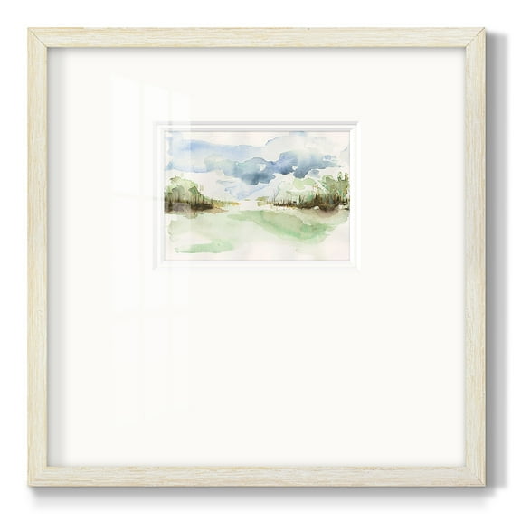 Brush Thickets IIPremium Framed Print