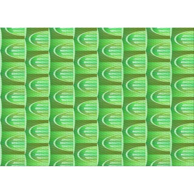 Ahgly Company Tapis d'Intérieur Lavables en Machine Rectangle Transitionnel Vert Émeraude, 4' x 6'
