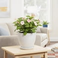 thumbnail image 3 of Wliror 8 Inch White Ceramic Plant Pot - Medium Round Planter with Drainage for Snake Plant Pothos, Modern Flower Pot for Indoor Outdoor Home Garden, 3 of 7