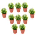 thumbnail image 5 of Garden Miniature House Miniature Potted Plant Ornament Micro Landscaping Plastic Mini Flower Ornament 10Pcs, 5 of 5